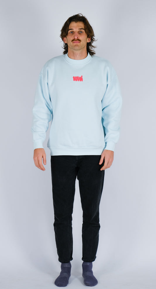 model 1 wearing ice blue sweat